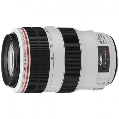 Canon EF 70-300mm f/4-5.6L IS USM