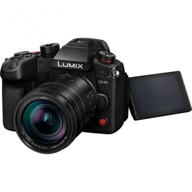 Panasonic Lumix DC-GH6 + DG VARIO-ELMARIT 12-60MM F/2.8-4 ASPH. POWER O.I.S. 4