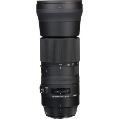 Sigma Contemporary 150-600mm F/5-6.3 DG OS HSM + TC-1401 1.4x teleconverter (Canon EF) 1