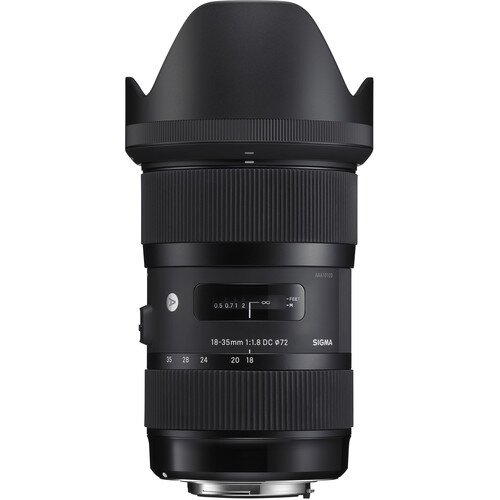 best canon lens for low light action